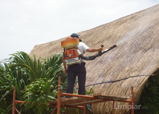 Fumigaciones Control De -