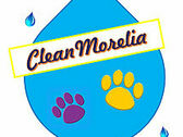 SERVICIOS CLEAN