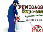 Fumigags Express Aguascalientes