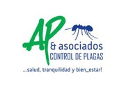 AP & Asociados