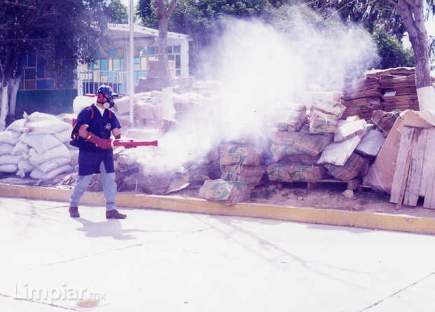 Control De Plagas Internacional Centinela 