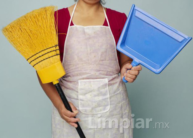 Domesticasa