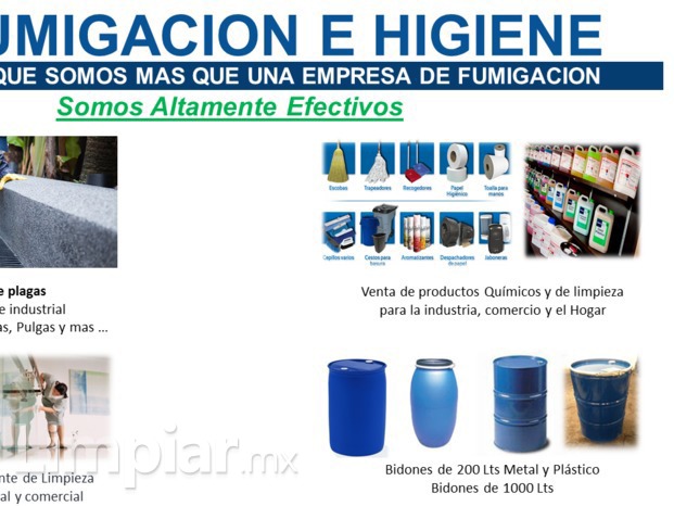 Rg Fumigaciones E Higiene 