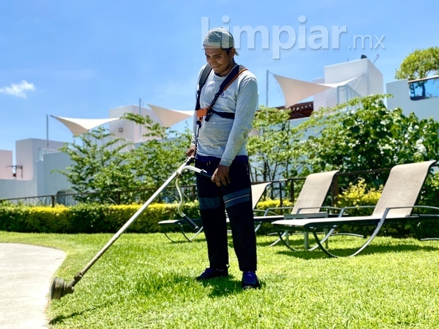 Servicios ecológicos e integrales. 