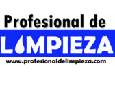 Profesional de limpieza