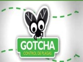 Gotcha Control De Plagas