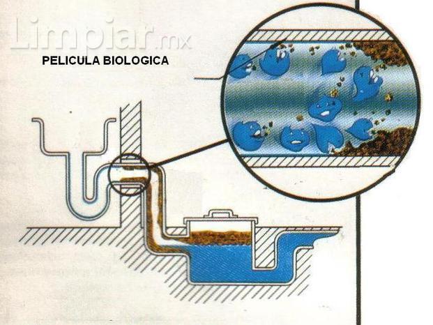 Limpieza de drenaje