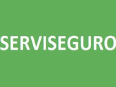 Serviseguro