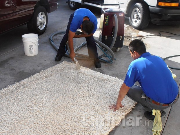 Lavado a vapor de alfombras y muebles