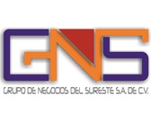 Gns Grupo De Negocios Del Sureste