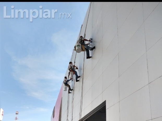 Grupo ProCleaner 